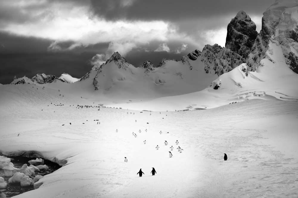 Antarctic Peninsula