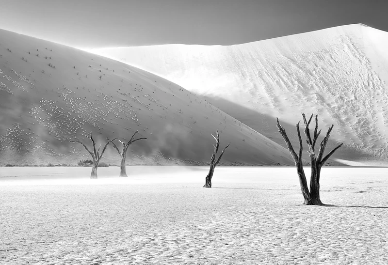 Deadvlei