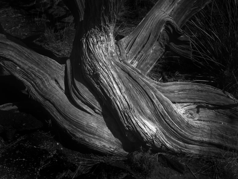 Carrizozo State Park, NM