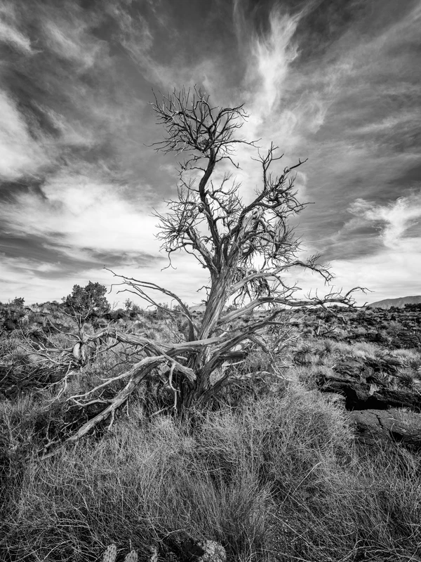 Carrizozo State Park, NM